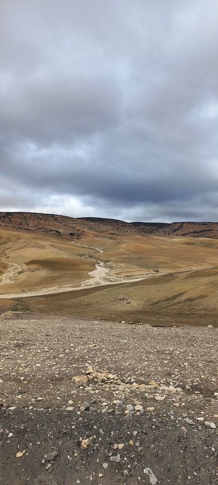 Photo #9294561