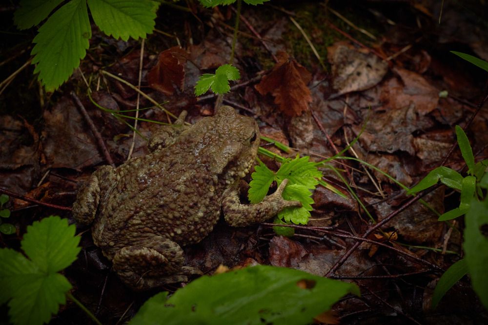 Photograph by Inna Tatarchenko