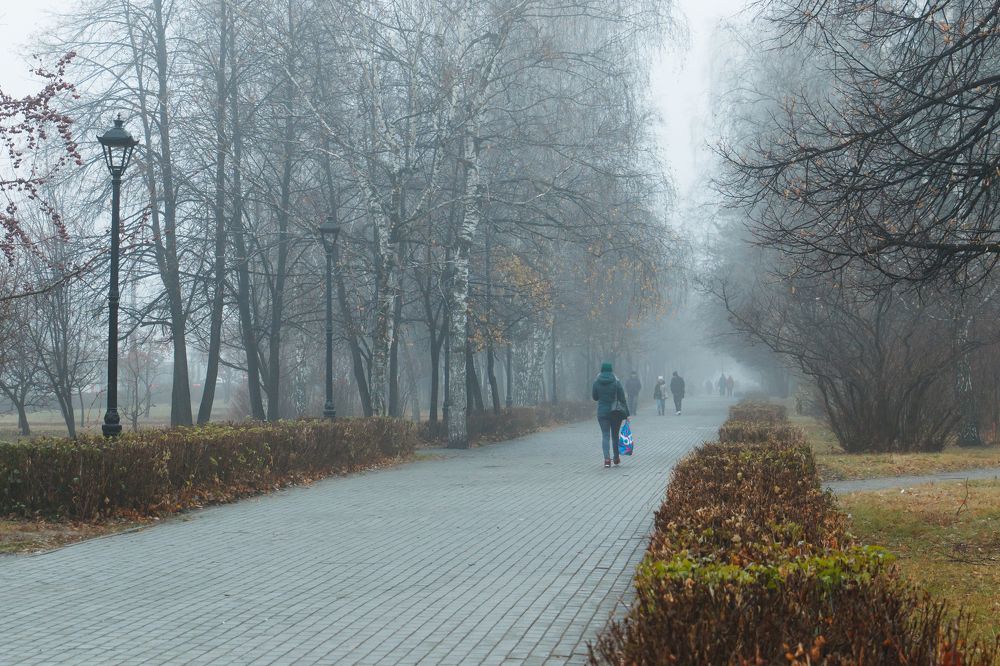 Photograph by Анна Вербилова