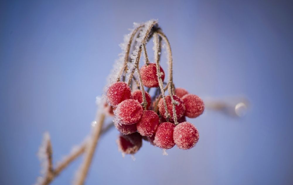 Photograph by Елена Трунцева