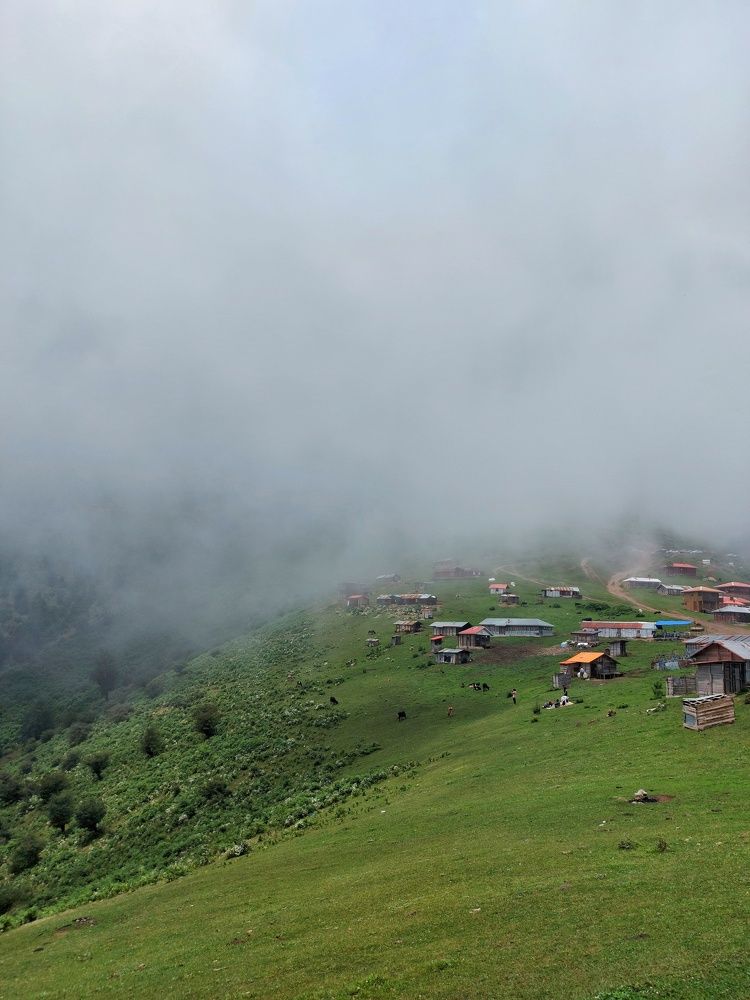 Photograph by behroz yavariyan