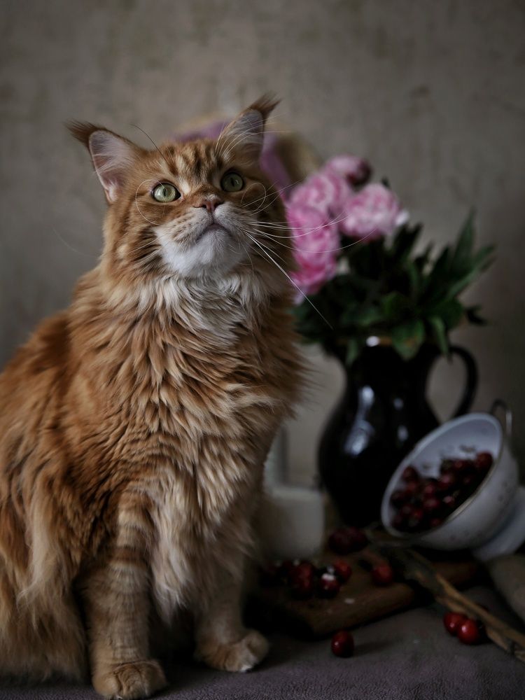 Photograph by Angelica Medvedeva