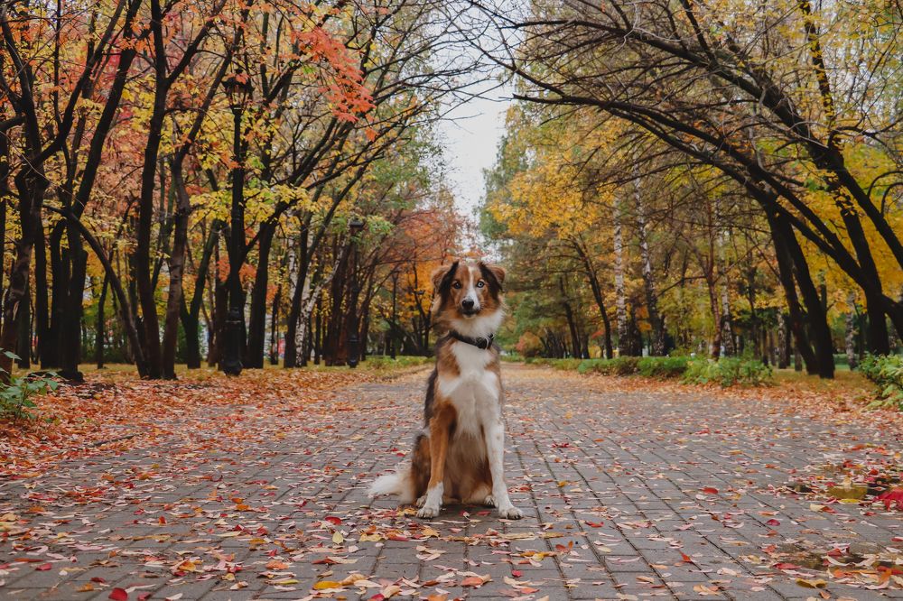 Photograph by Анна Вербилова