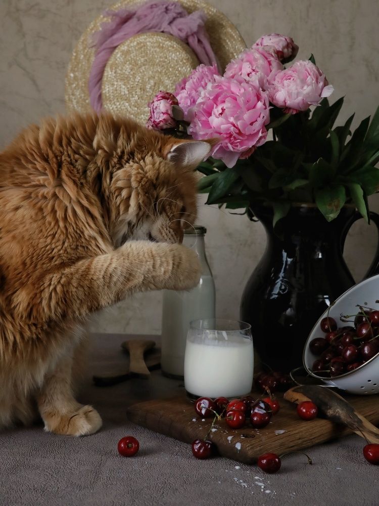 Photograph by Angelica Medvedeva