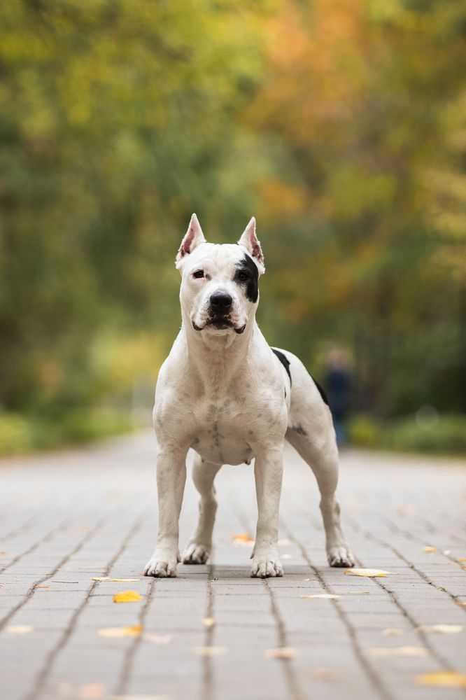 Photograph by Анна Вербилова