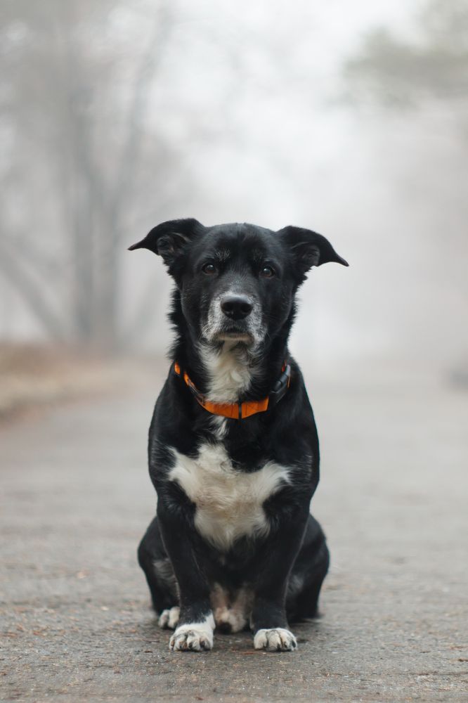 Photograph by Анна Вербилова