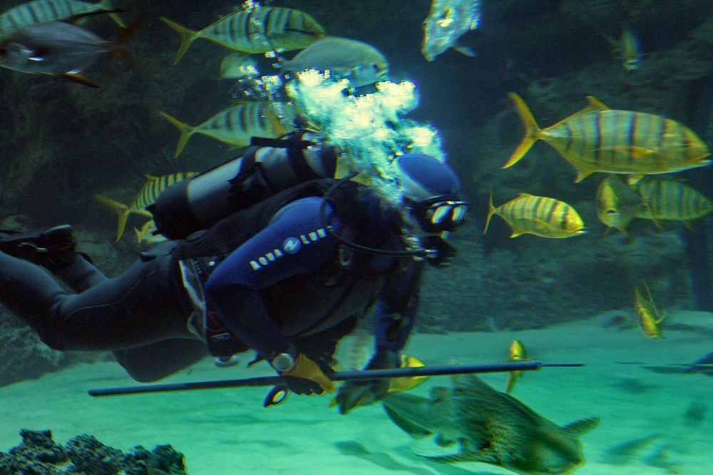 Photograph by вячеслав милов