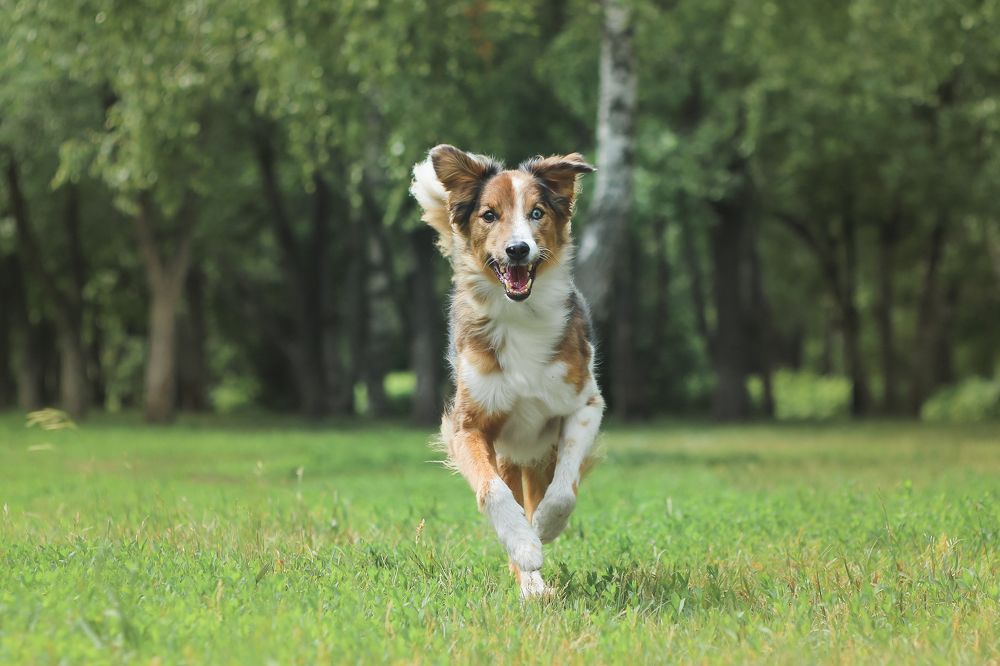 Photograph by Анна Вербилова