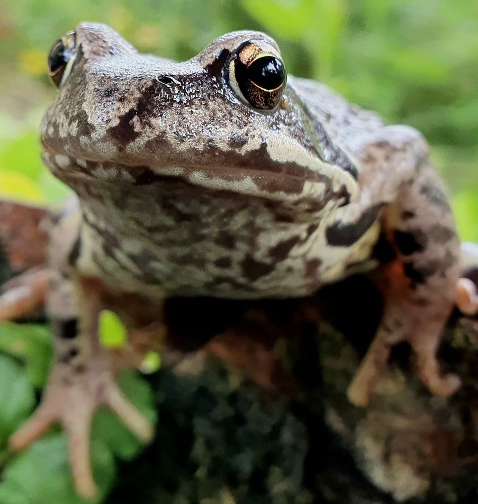 Photograph by Ева К