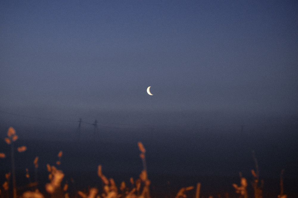 Photograph by Анна Якименко