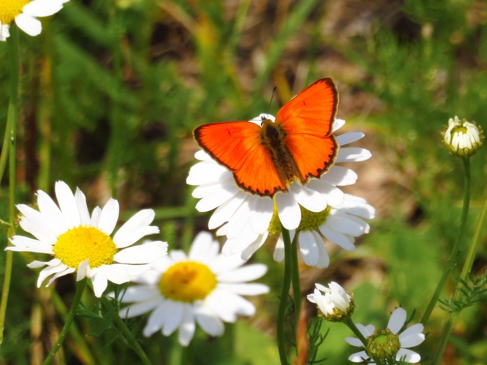 Photograph by Владимир Крылов