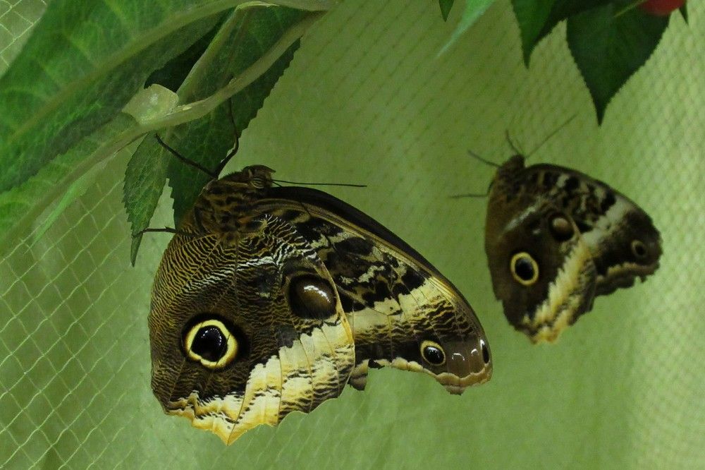 Photograph by Ольга Березовская