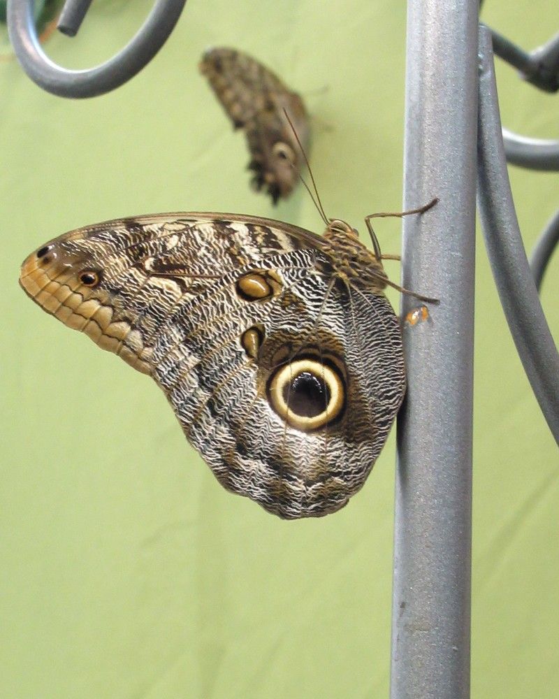 Photograph by Ольга Березовская