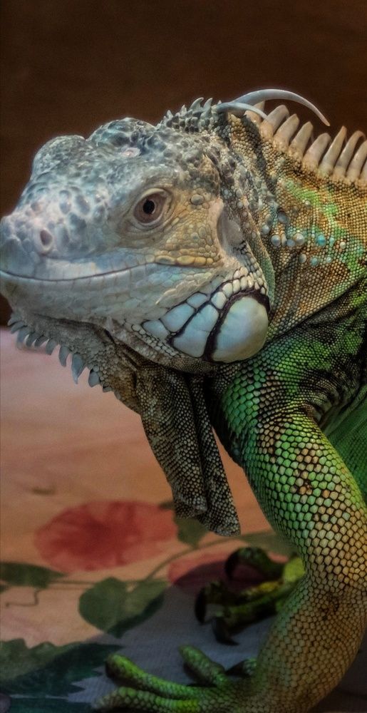 Фотография автора НАТАЛЬЯ СЕВЕР