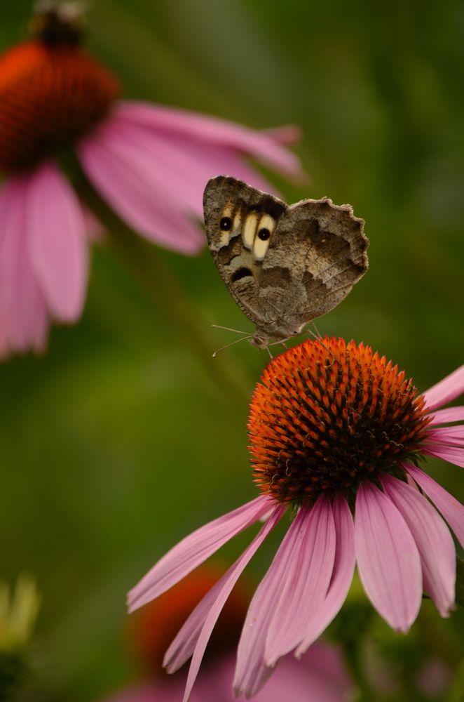 Photograph by Ольга Ковальчук