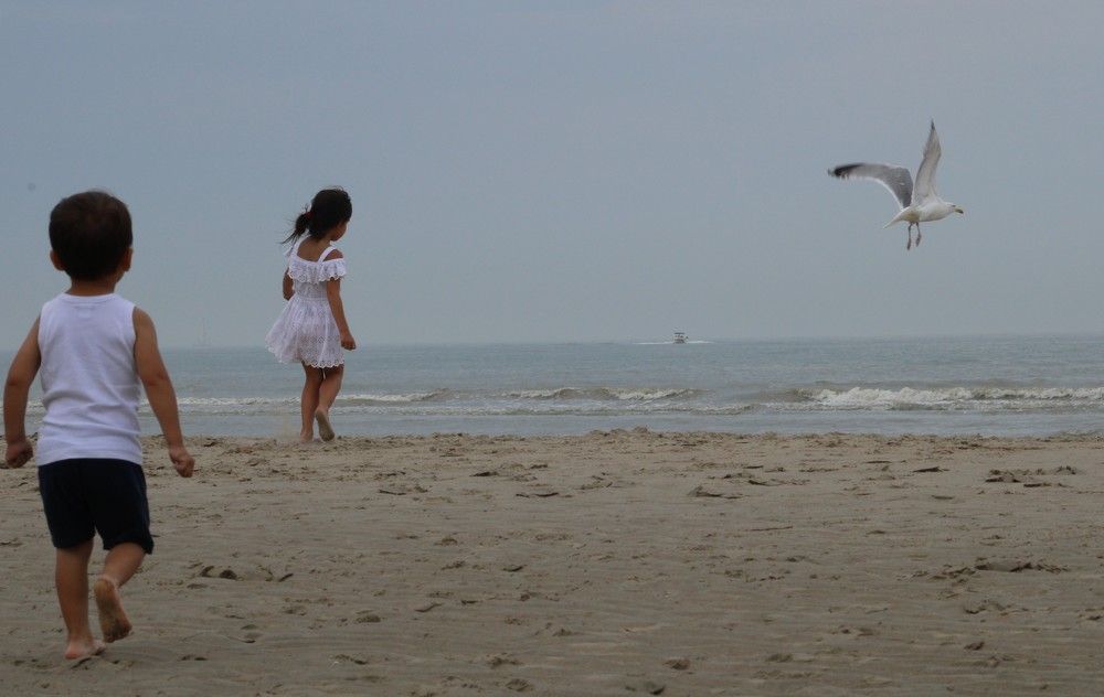 Photograph by Guillaume Duchene