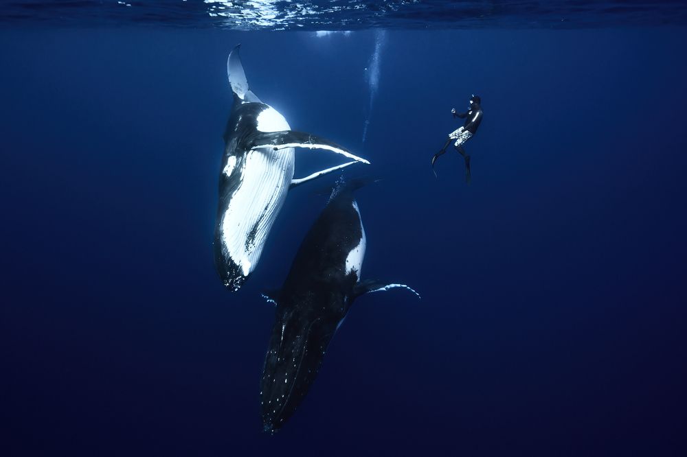 Photograph by Joaquin Fregoni