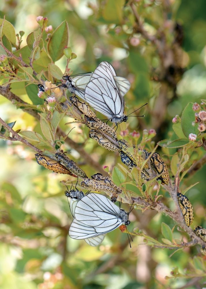 Photograph by Ольга Тюгина