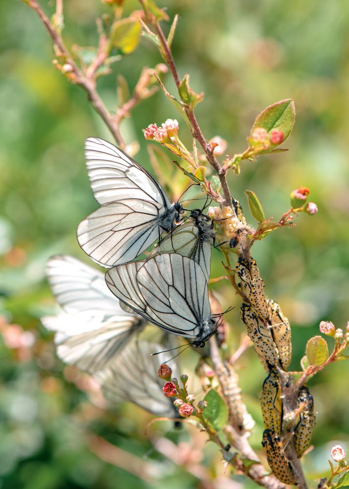 Photograph by Ольга Тюгина