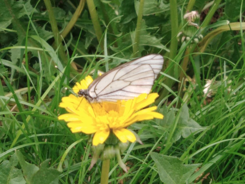 Photograph by Лариса Натальская