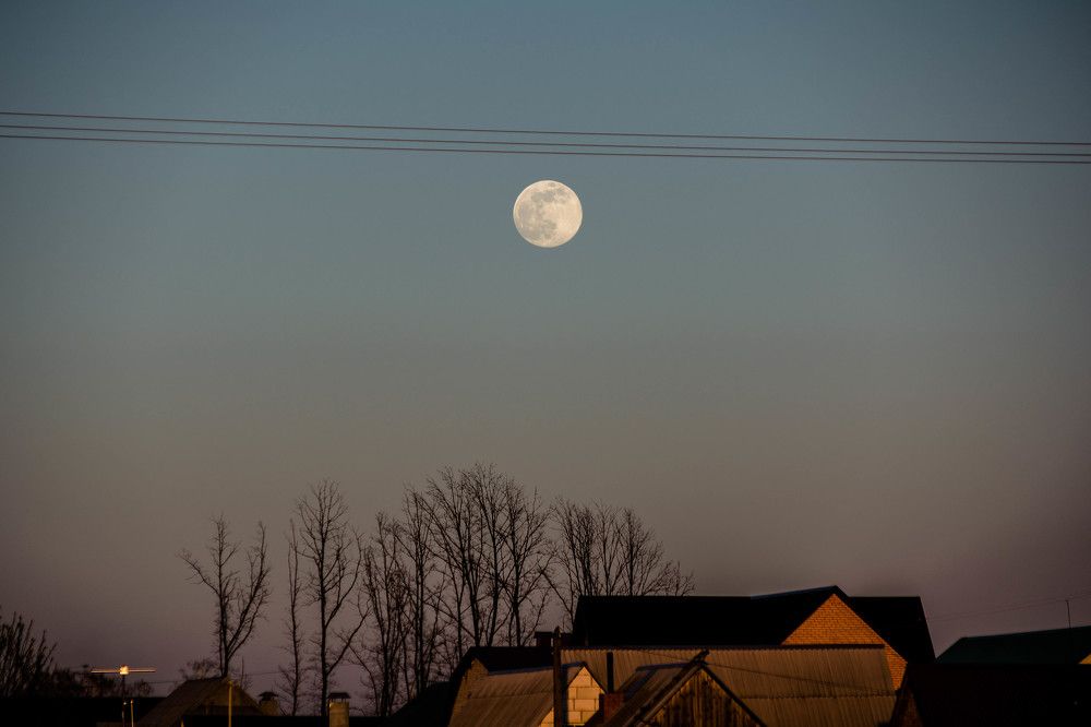 Photograph by Людмила Прибылова