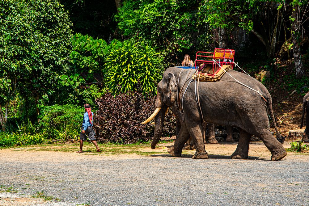 Photograph by Елена Прохорова
