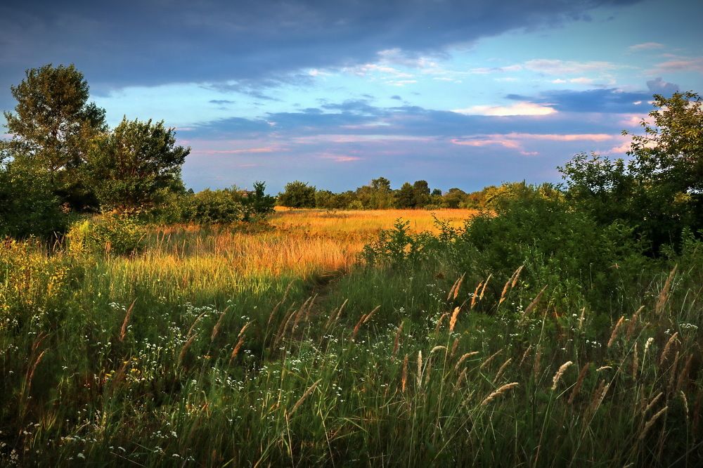 Вечерние тени.