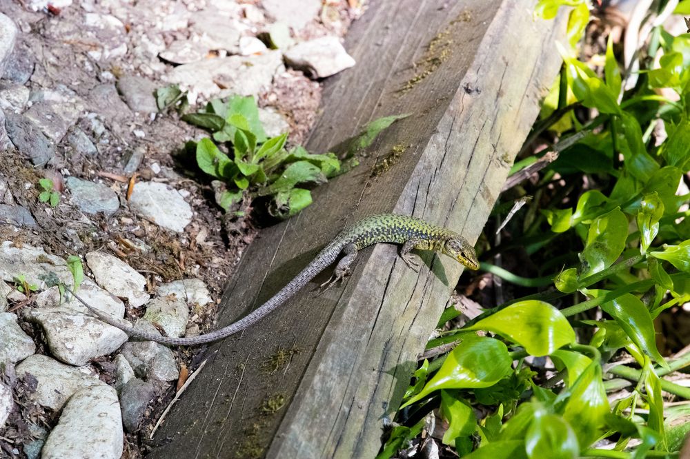 Photograph by Ivan Bazhenov