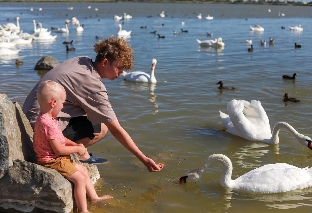 Фотография автора Павел Попов