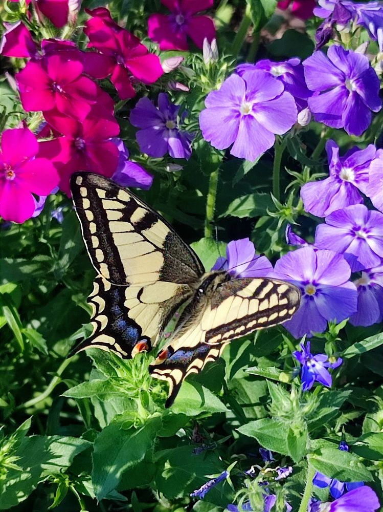 Photograph by Юлия Гинтер