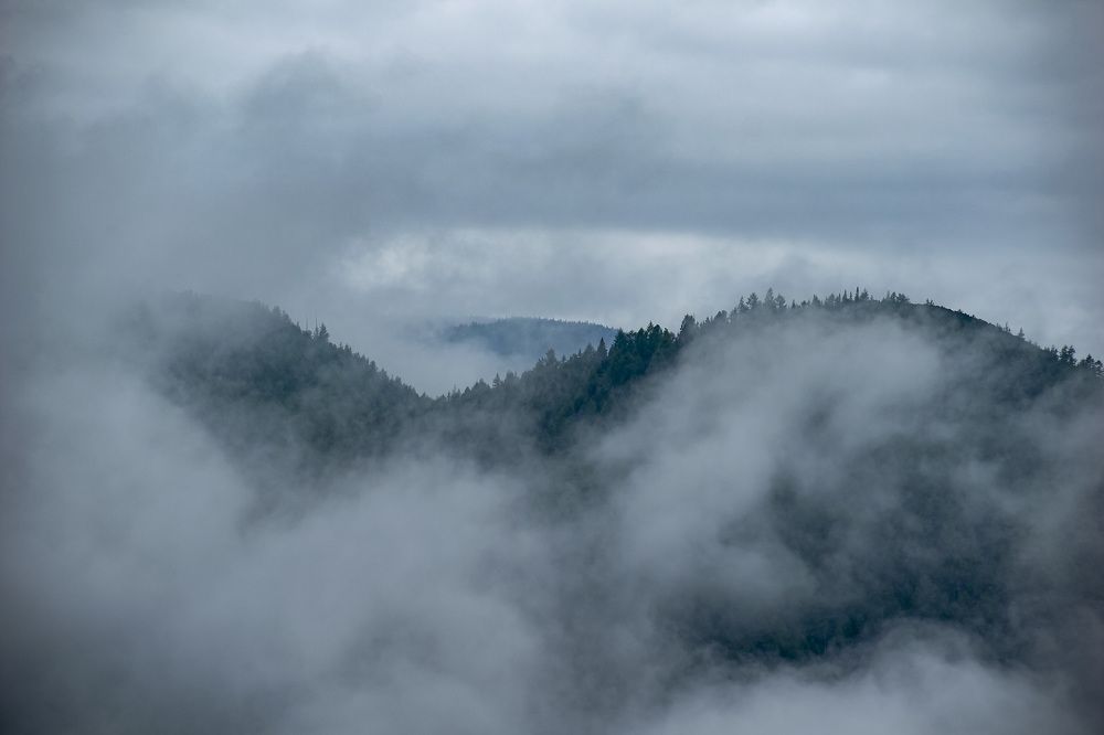 Photograph by 