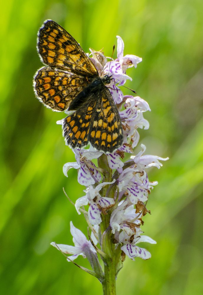 Photograph by Роман Кудрявцев