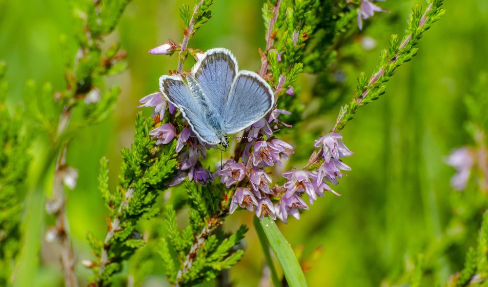 Photograph by Роман Кудрявцев