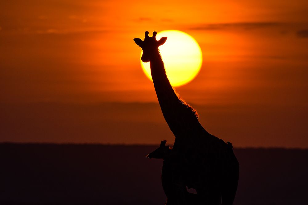 Photograph by Jaikumar Moorthi