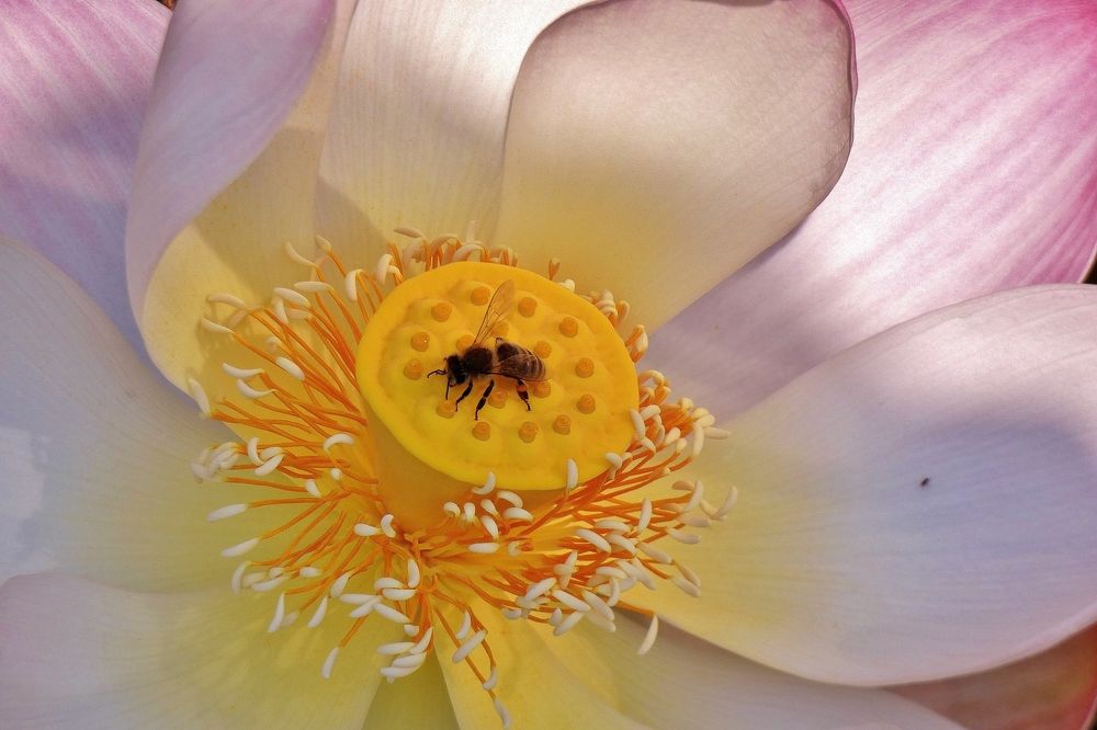 Photograph by backareva irina