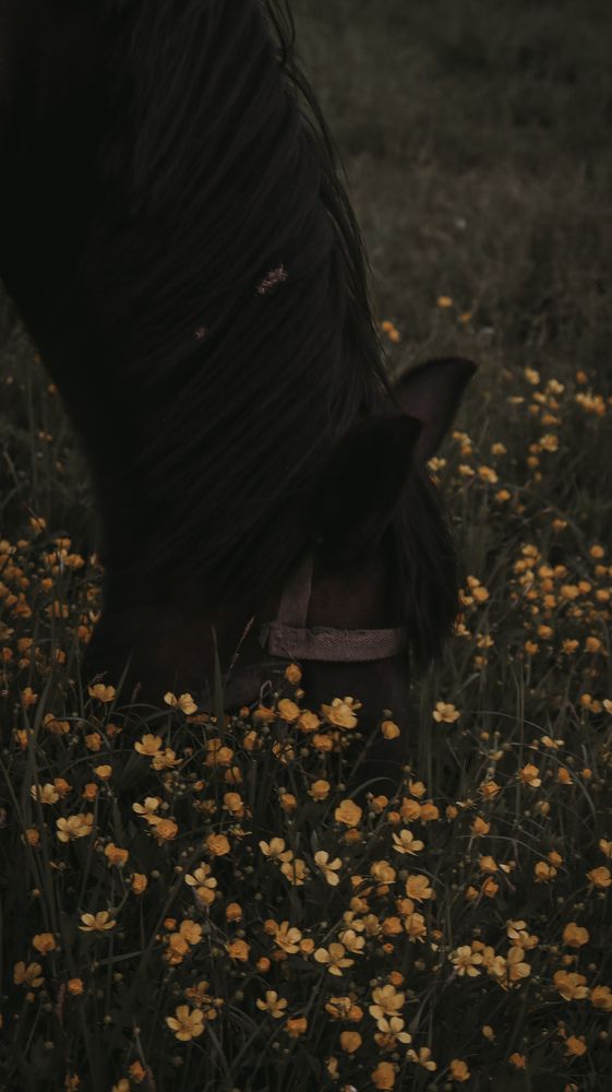 Photograph by Даниил Сырбу