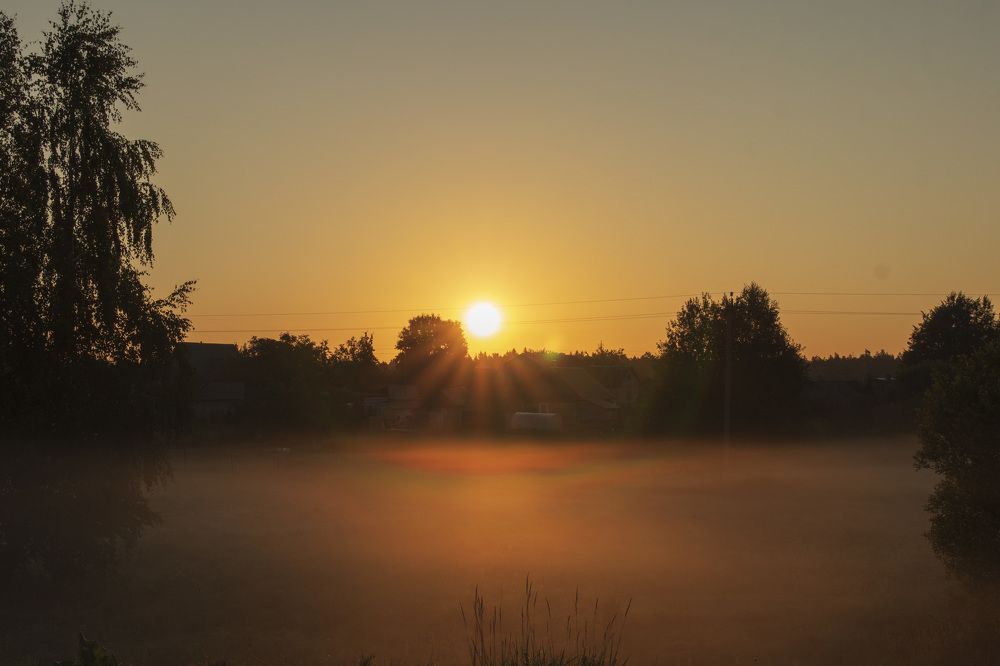 Фотография автора Ольга Никанович