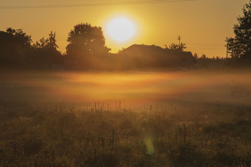 Фотография автора Ольга Никанович