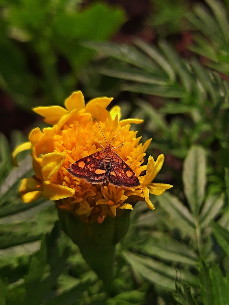 Фотография автора Ольга Кунакова