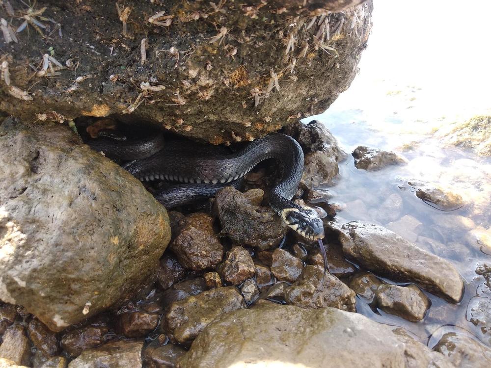 Фотография автора Павел Попов