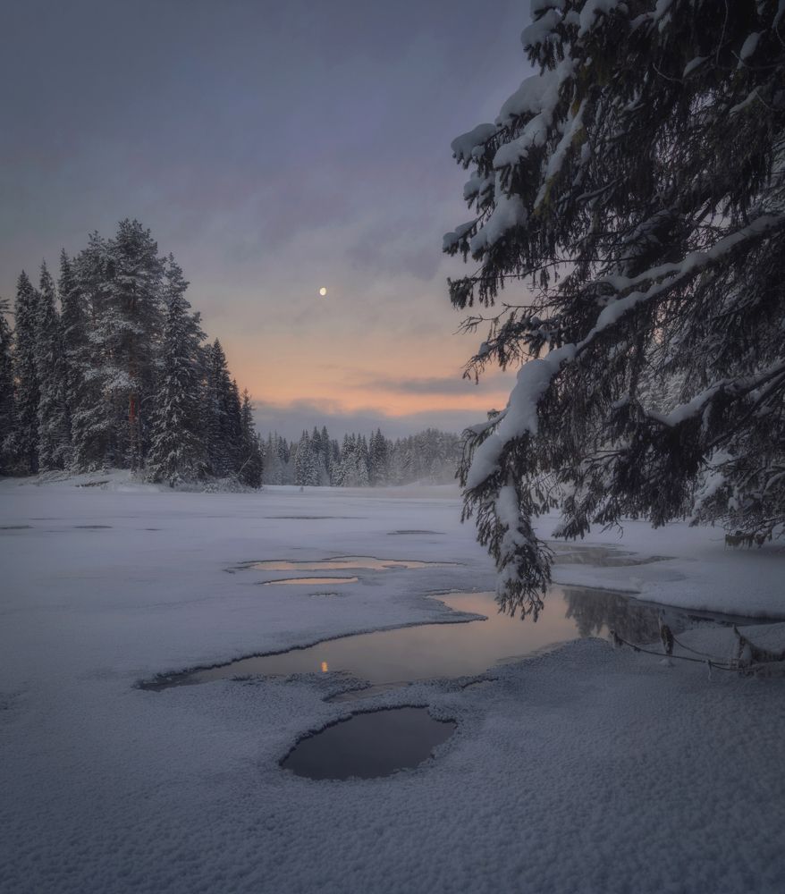 Photograph by Сергей Буторин