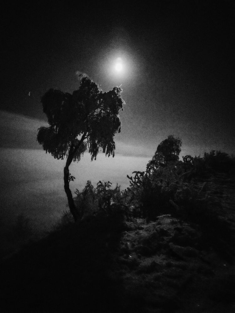 Photograph by Kostantin Belonogov