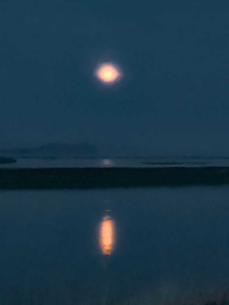 Photograph by Kostantin Belonogov