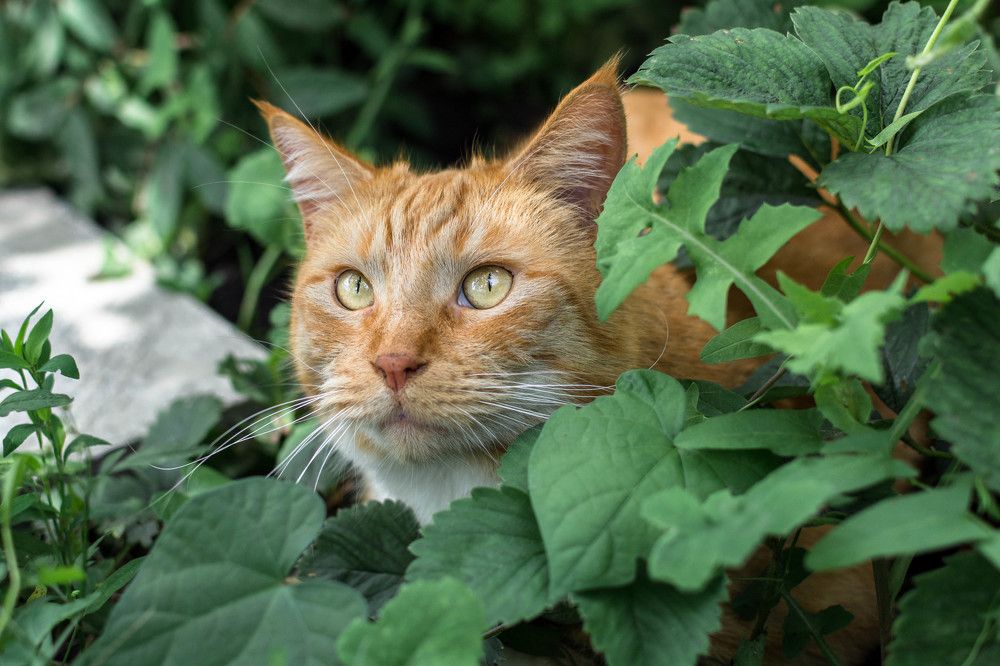 Photograph by Людмила Прибылова