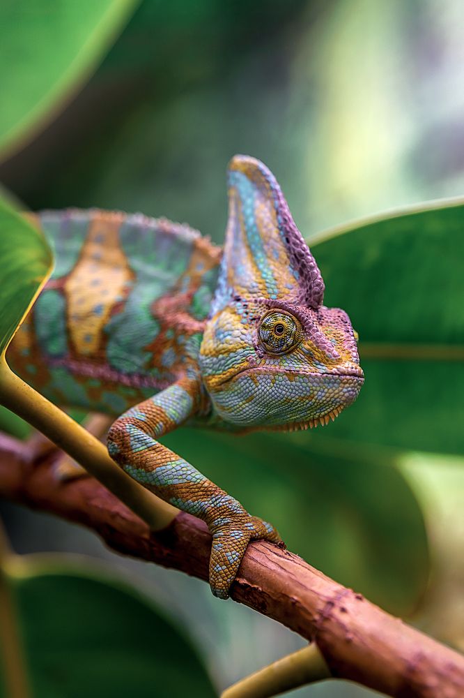 Photograph by Сергей Газизов