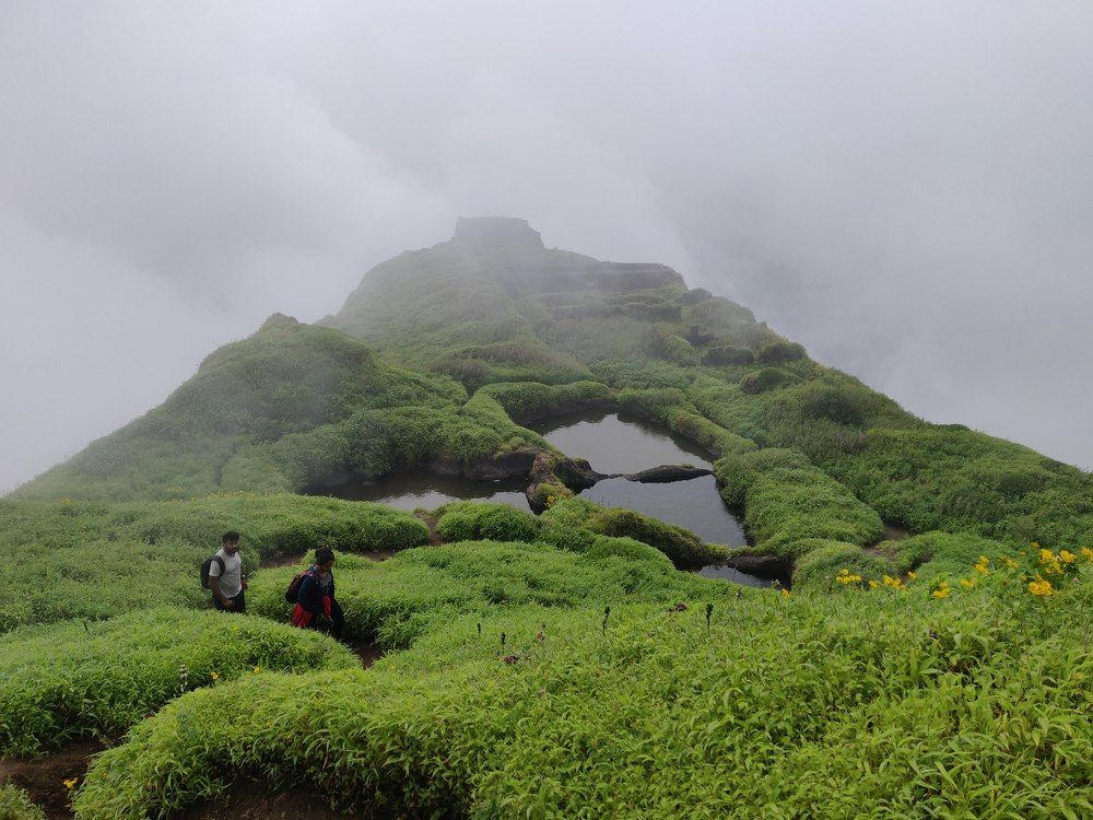 Photograph by Ranjith Kumar