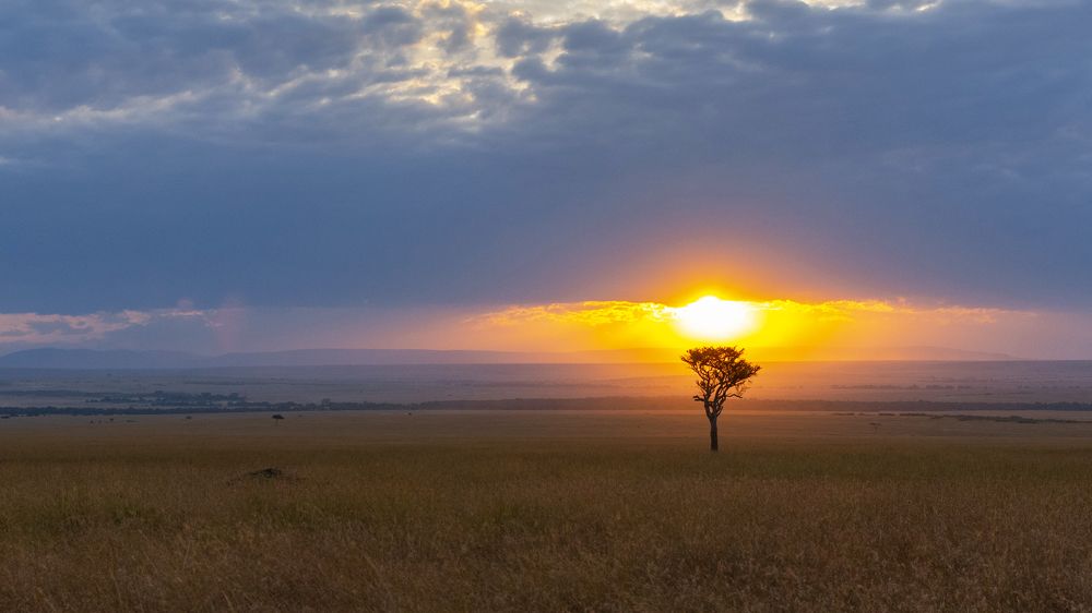 Photograph by Sanjaykumar Daramwar
