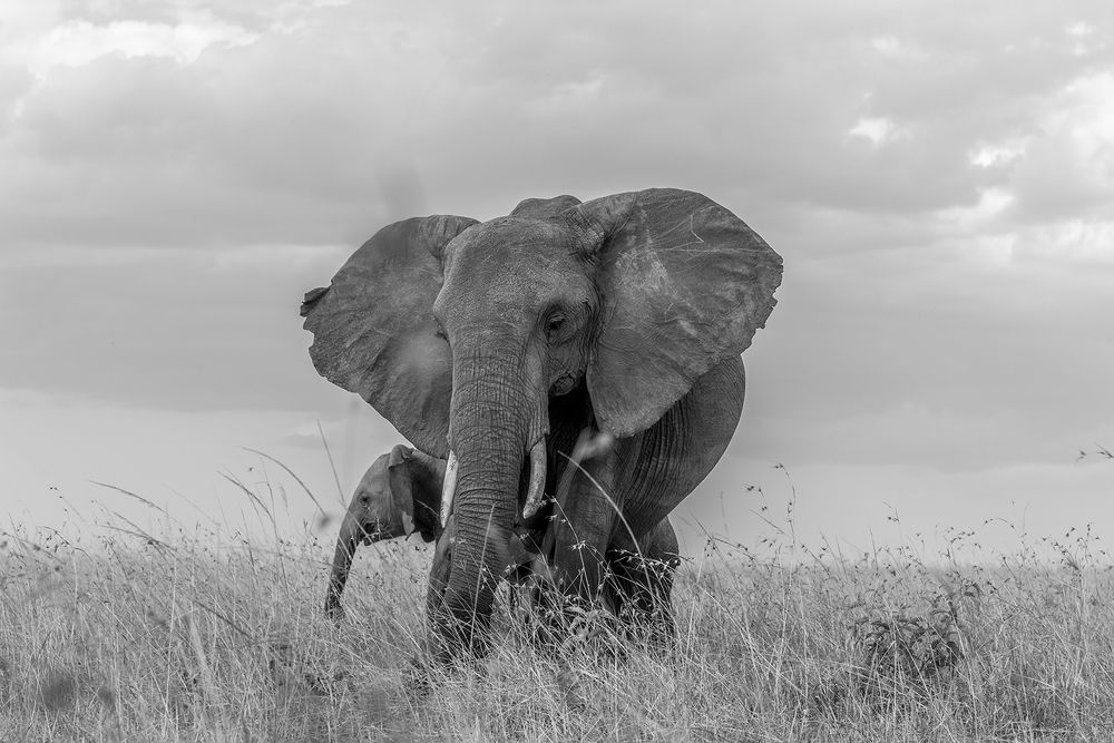 Photograph by Sanjaykumar Daramwar