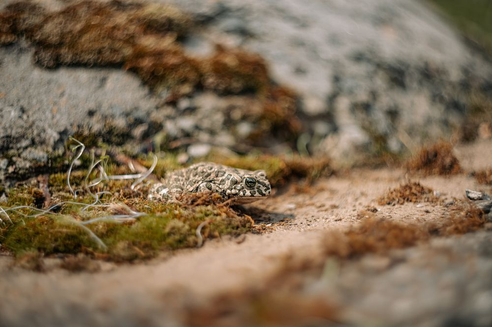 Фотография автора Лукашенко Ольга