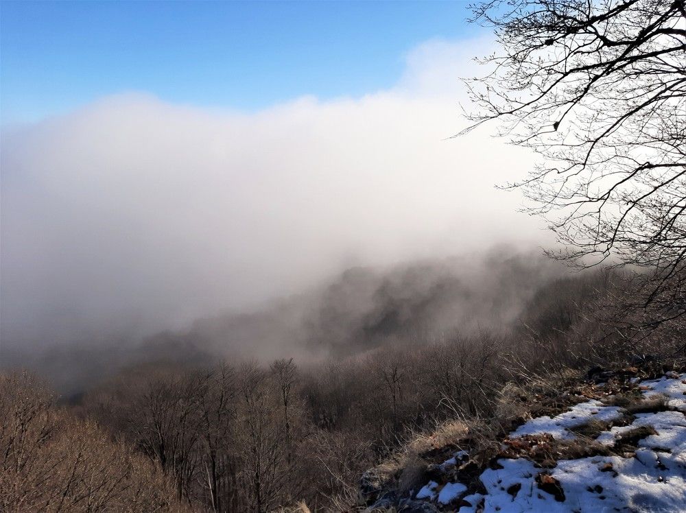 Туман на склонах горы Тырке